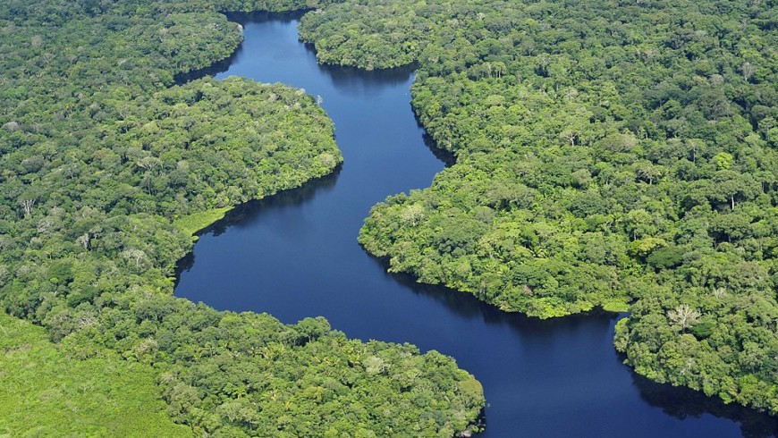 Vista aerea della Foresta Amazzonica