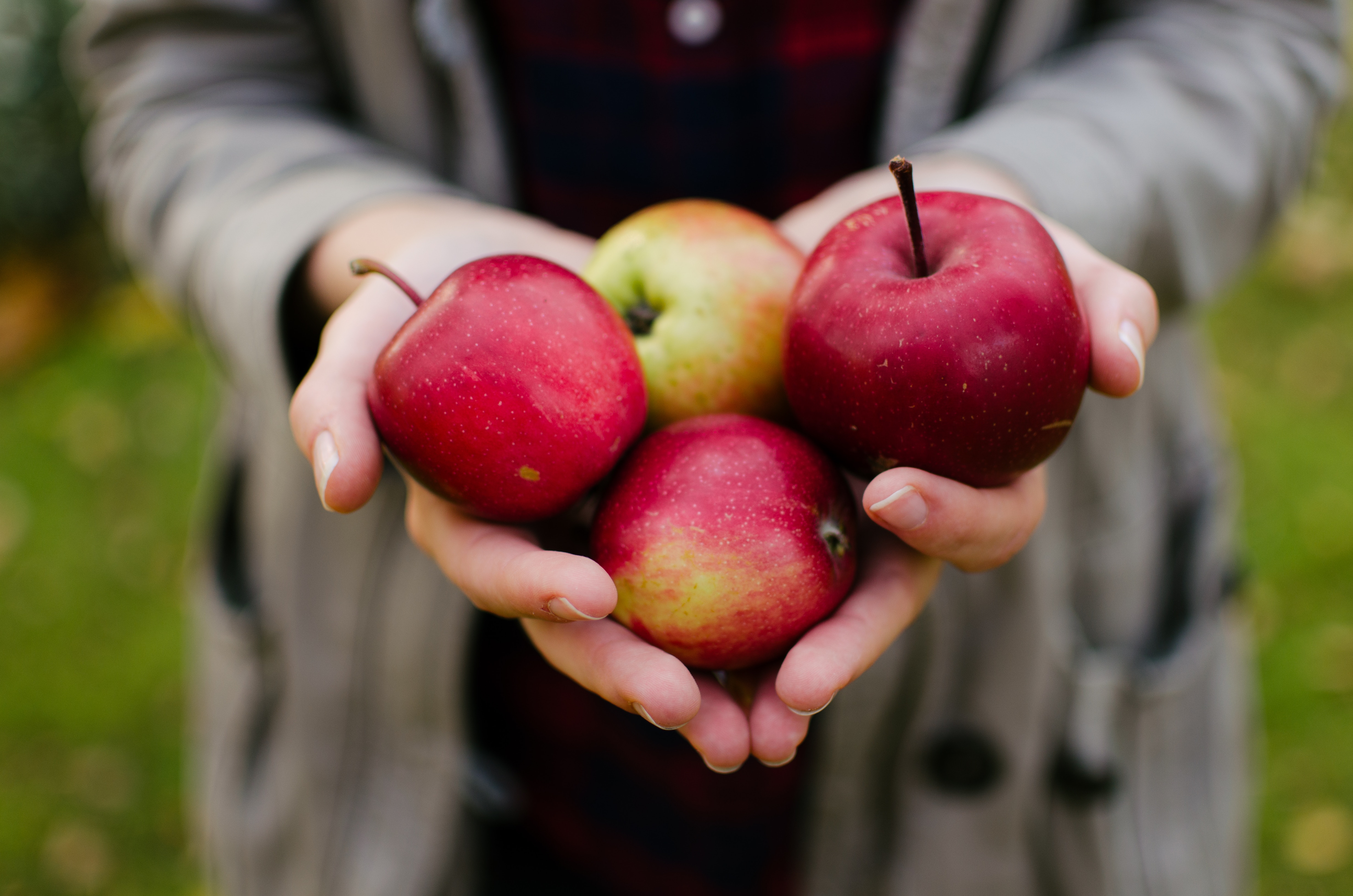 L'alimentazione alternativa attira soprattutto i giovani, il negozio è  tappa obbligata per chi vuole mangiare sano