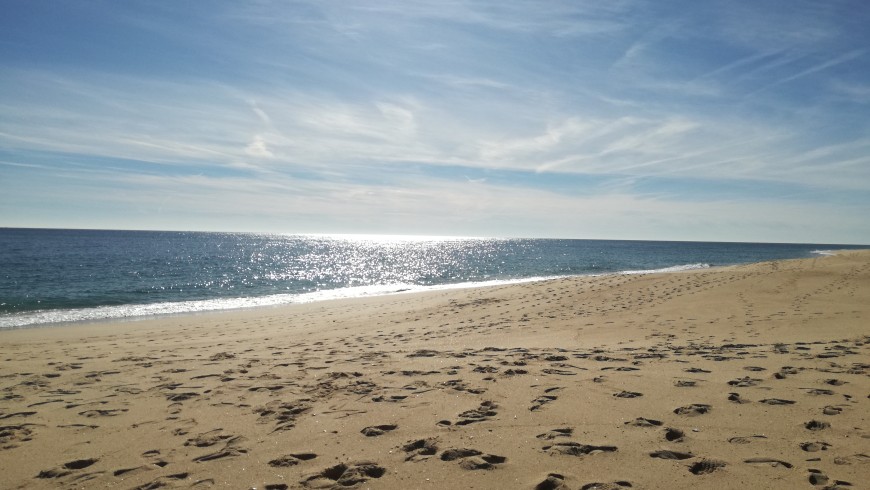 Spiaggia e oceano
