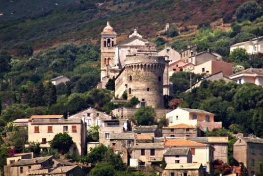 Foto del paese di Rogliano, circondato da alberi. Spiccano le case antiche del centro storico, una torre in pietra e un campanile.