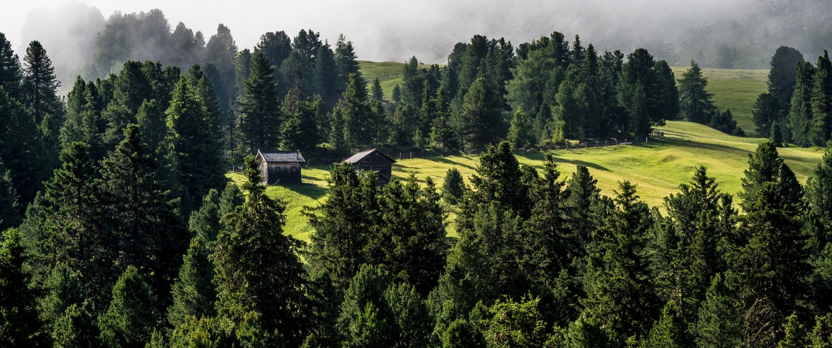 Natural Living tra le Dolomiti