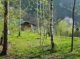 Casa Payer nel Bosco, Piemonte