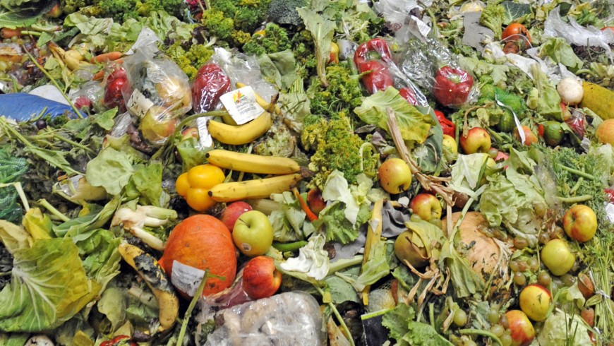 sprecare cibo: residuo organico