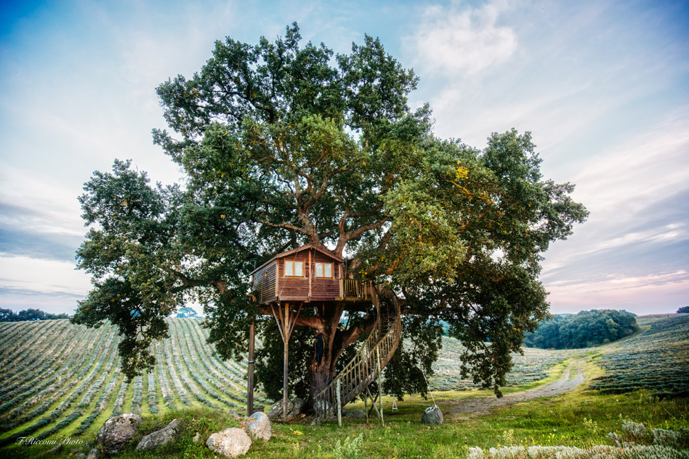 Casa sull'albero Suite Bleue, Agriturismo biologico La Piantata, Viterbo