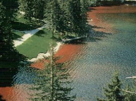 Lago di tovel con acua rossa vicino alla riva