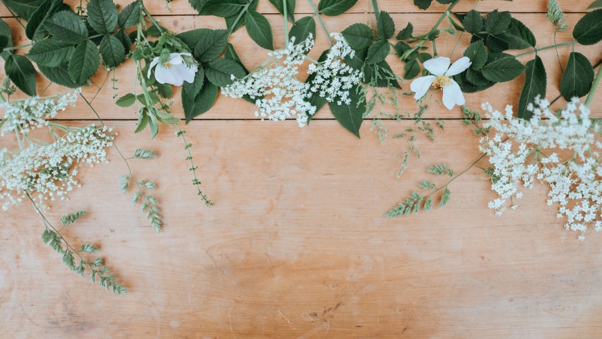 tavolo con fiori bianchi - tema del tuo blog di viaggio sostenibile