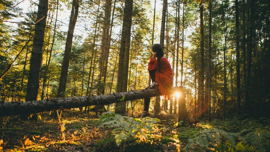 ragazza seduta su un tronco nella foresta