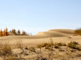 dune di sabbia vicino a una casa