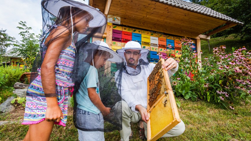 apicoltore mostra a una bambina una griglie di miele