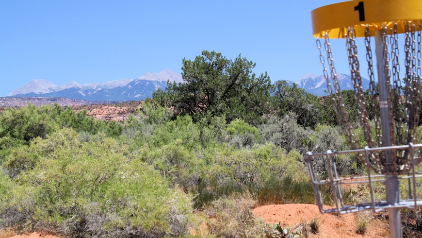cesto da disc golf nel deserto tra i cespugli