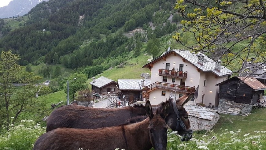 Alpe Rebelle, vacanze con cucina vegetariana a Bionaz, Valle d'Aosta
