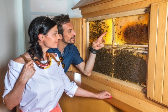 Il museo dell'apicoltura nella città più dolce della Slovenia