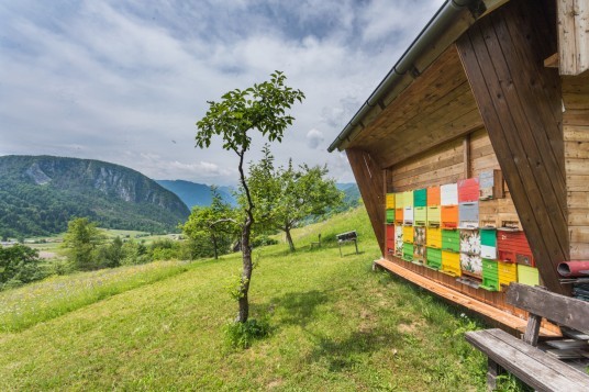 apiturismo, vacanze al miele in Slovenia