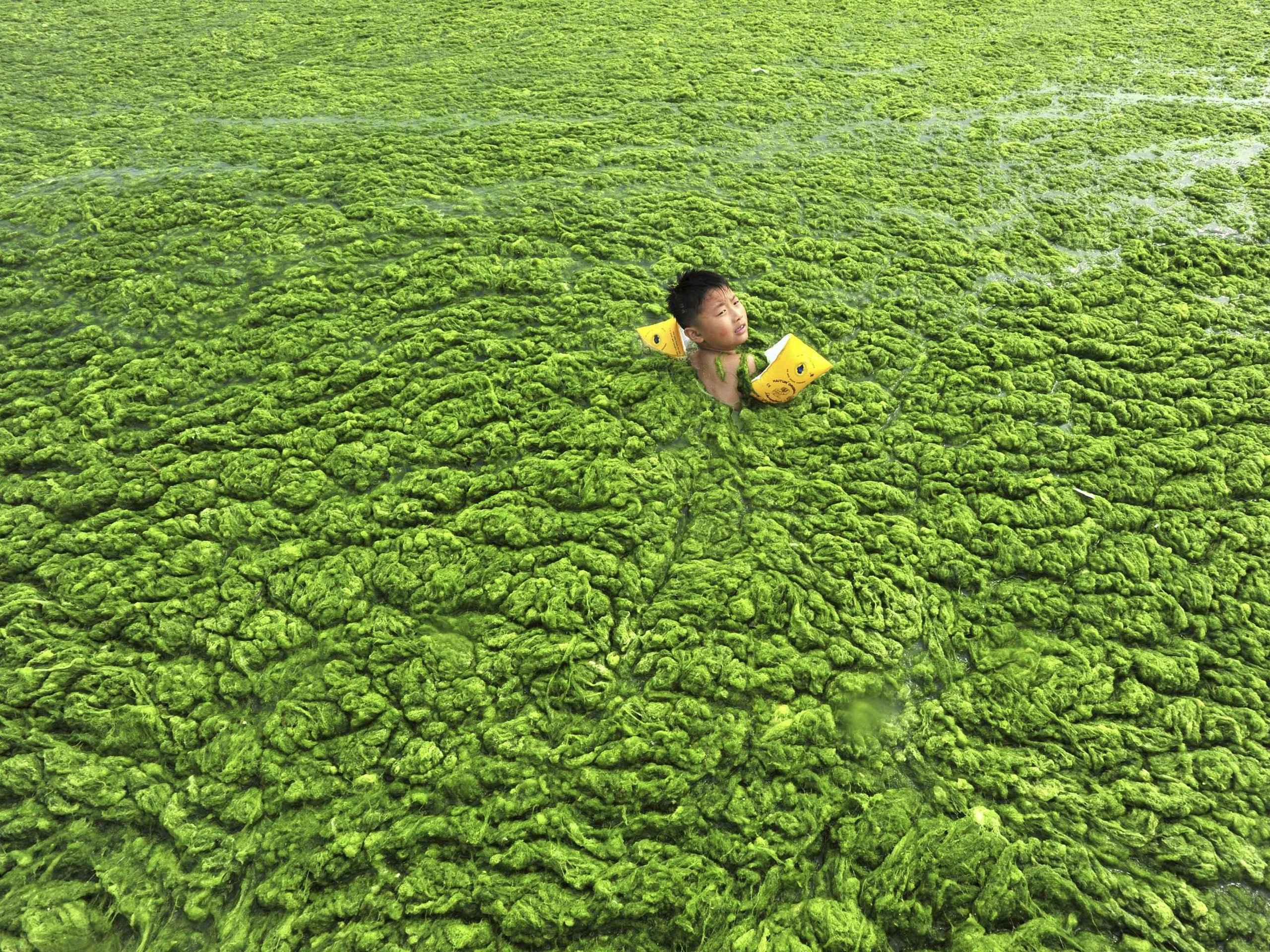 Inquinamento delle acque in Cina, fotografato 