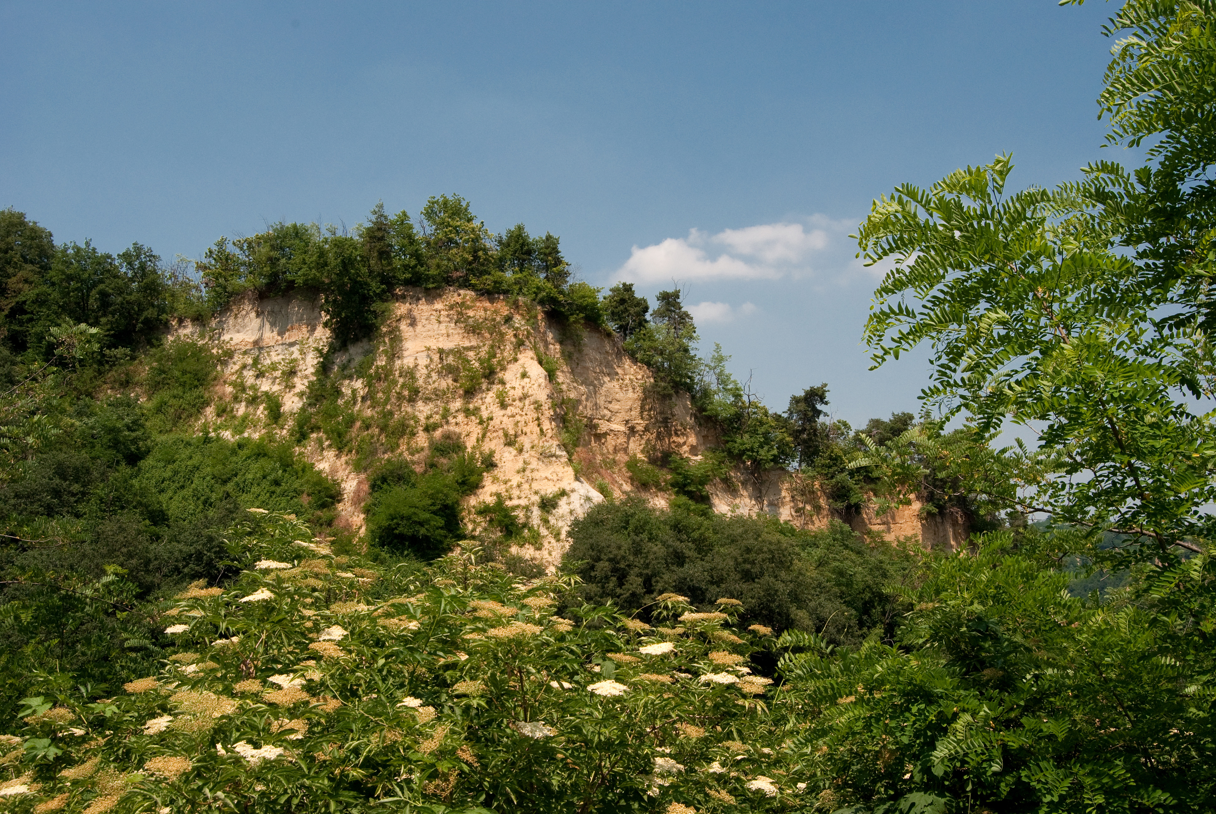 Rocche del Roero