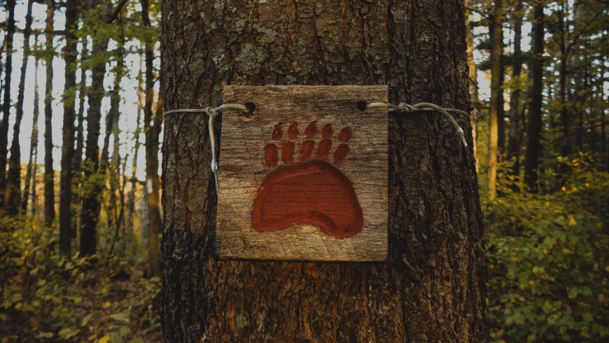 cartello in legno con l'impronta dell'orso