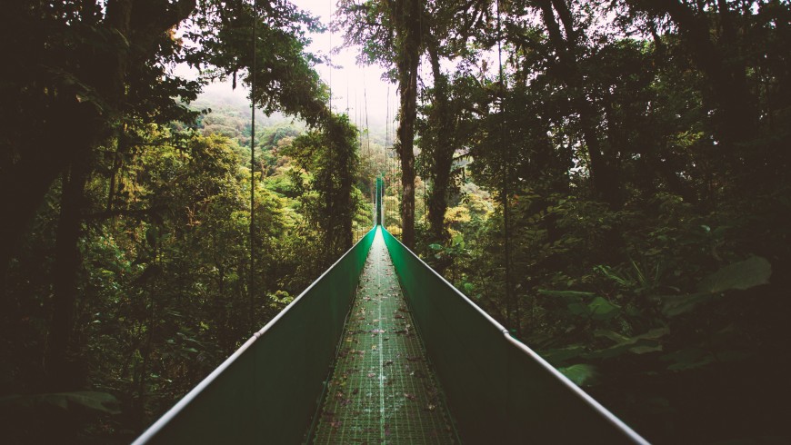 ponte sospeso nella giungla del Costa Rica
