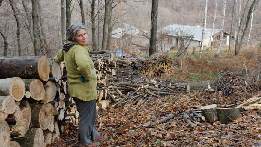 Firewood from cleaning up woodlands