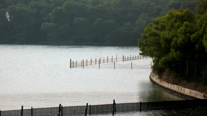 Lago Alimini Grande con piccolo punto di attracco