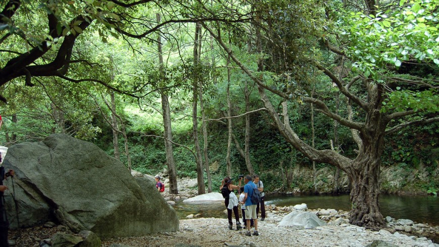 persone facendo il percorso di trekking per raggiungere la cascata