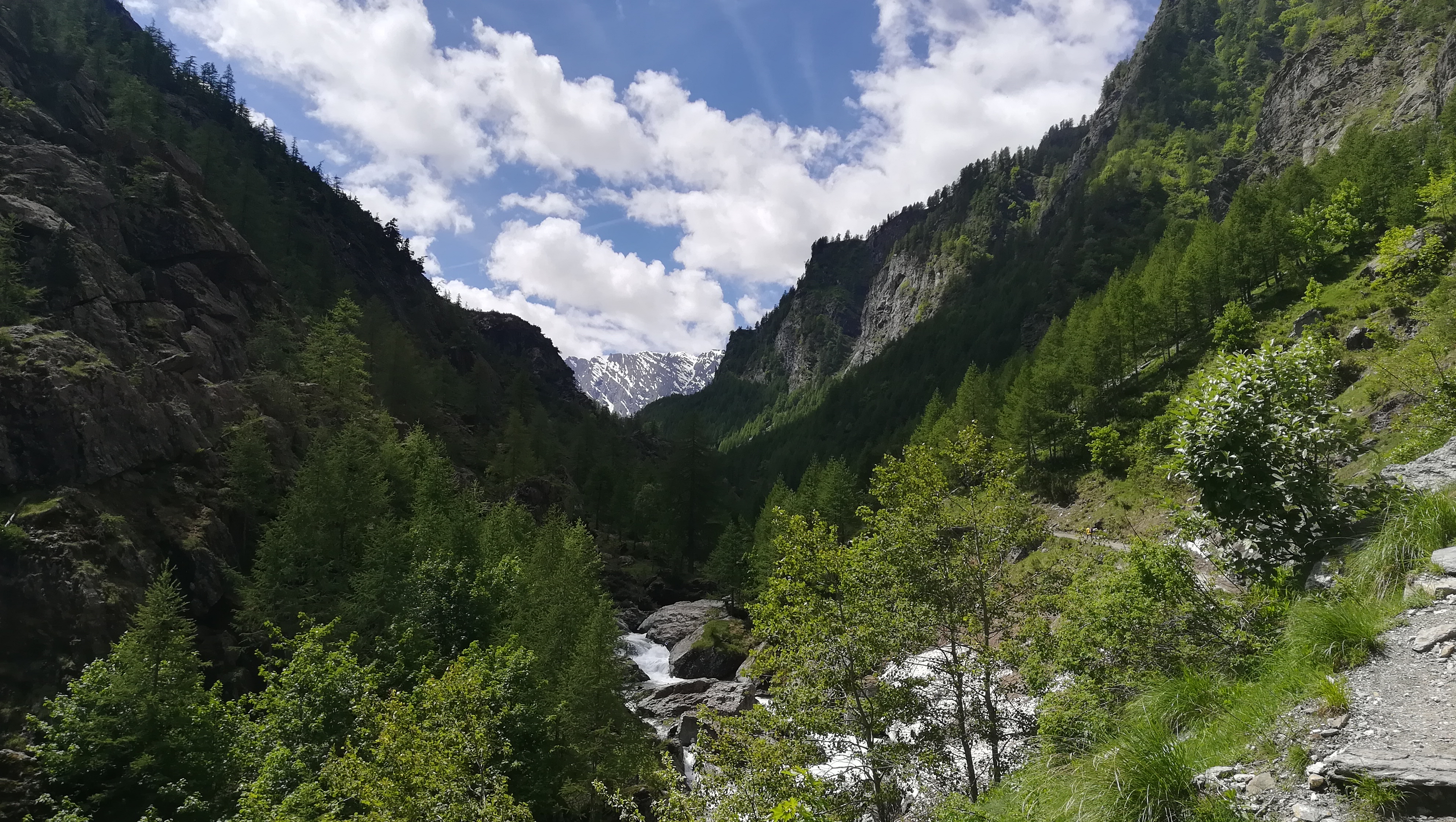 Upper Pellice Valley, Piedmont