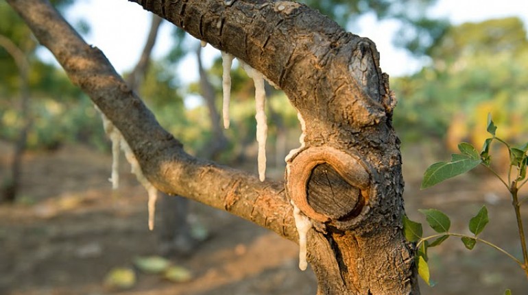 La linfa cristallizzata della Sicilia