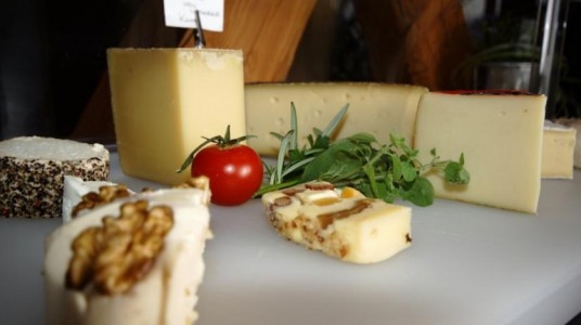 del formaggio con noci, prodotto biologico della struttura ricettiva
