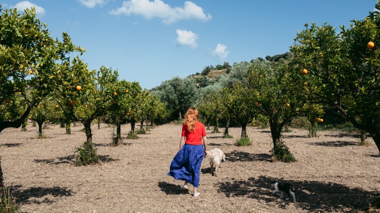 ecobnb IUTA glamping & farm a Noto, Sicilia