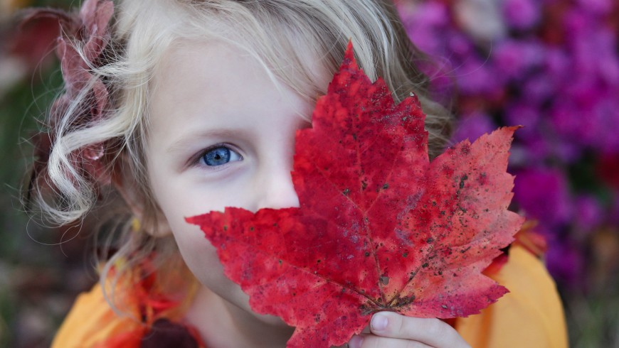mostra ai tuoi figli la bellezza della natura, ad esempio il colore delle foglie autunnali