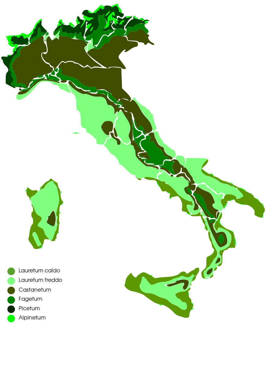 mappa delle zone fitoclimatiche italiane