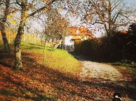 Enchanting Hill in autunno