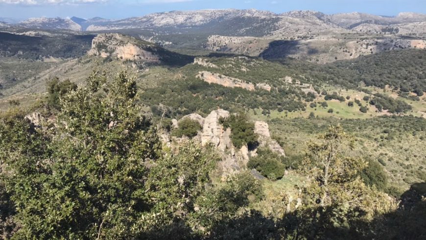 Foresta di Montes, Entroterra della Sardegna
