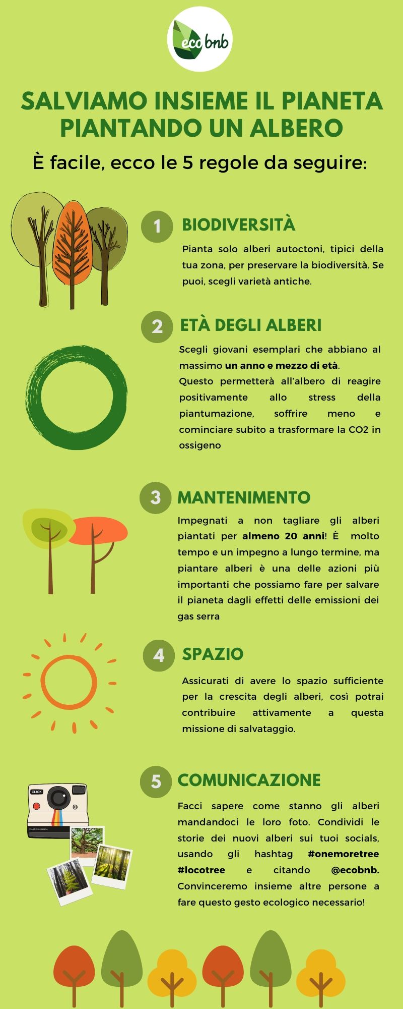 5 regole per piantare alberi con ecobnb