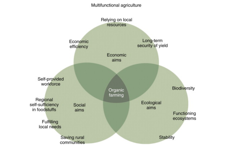 Schema agricoltura biologica