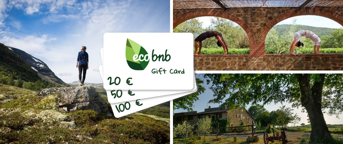 Gift Card Regalo Ecobnb