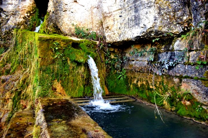 sorgenti d'acqua naturali in Istria - Waterspring Momjan