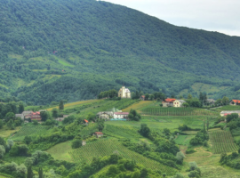 Monte Plešivica