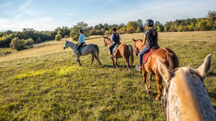 Andare a cavallo nell'Istria centrale: una delle esperienze green da fare assolutamente in Istria
