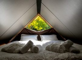 Interno di una tenda con letti