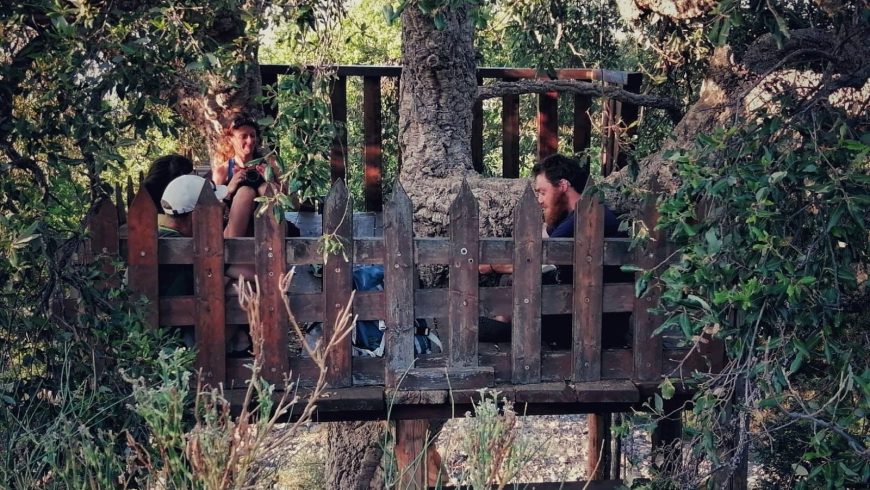 Turisti seduti su una piattaforma di legno costruita su un albero