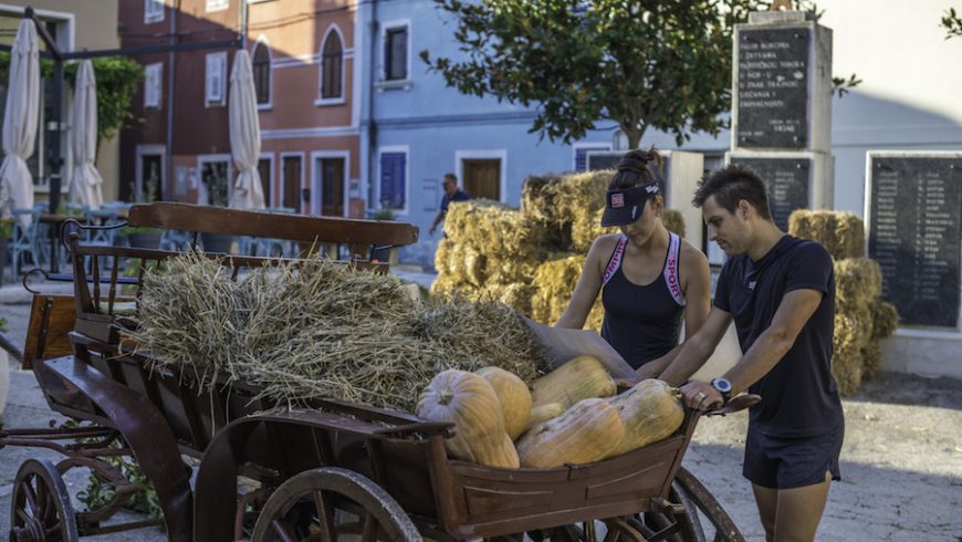 Carro di fieno e ortaggi durante il viaggio green in Istria