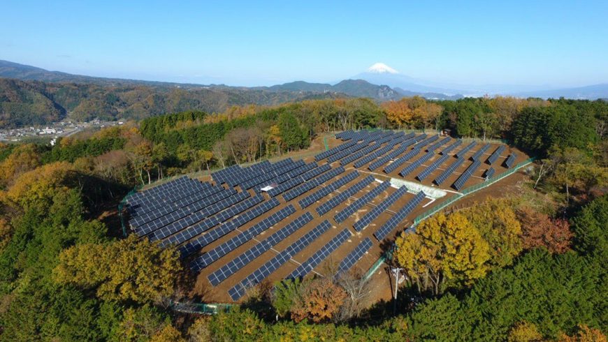 Pannelli solari in mezzo al verde, tra le fonti rinnovabili