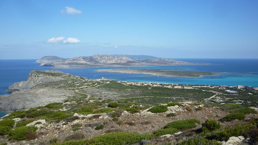 Isola Asinara vista da Torre del Falcone 