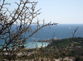 Panorama Asinara