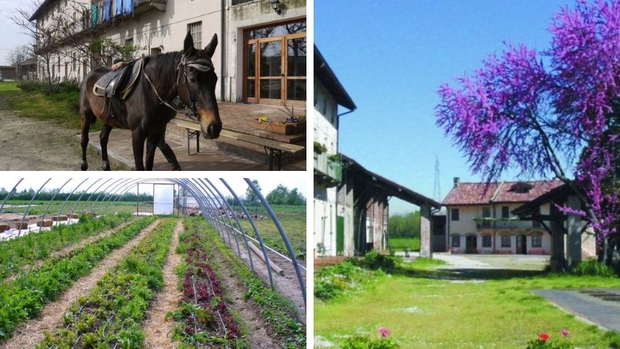 Cascina Santa Brera, sostenibilità a due passi da Milano