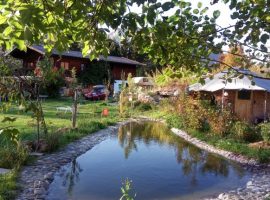 Una vacanza sostenibile nel verde di Kitzbühel