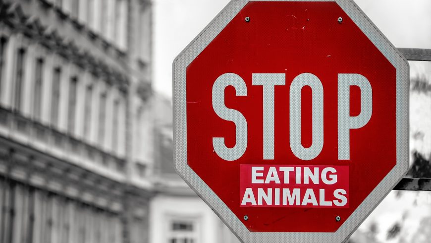 cartello stradale che indica di mangiare meno carne, contro l'estinzione degli animali