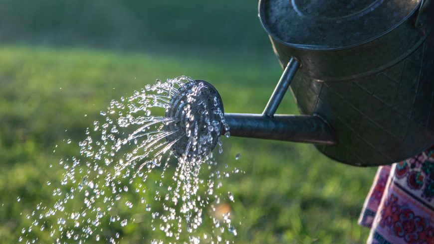 Ridurre gli sprechi di acqua per un giardino eco-friendly