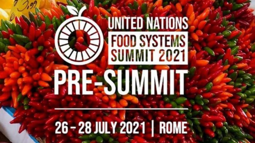 Pre-summit Roma