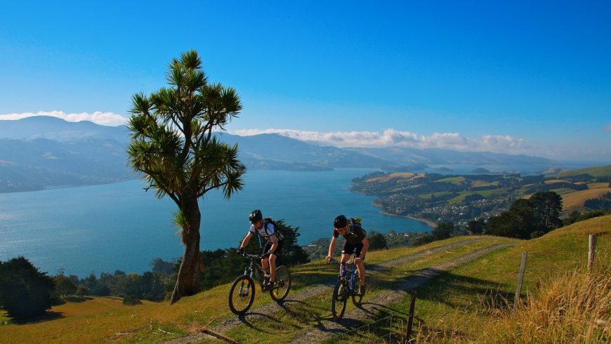 tour in bicicletta attraverso paesaggio naturalistico